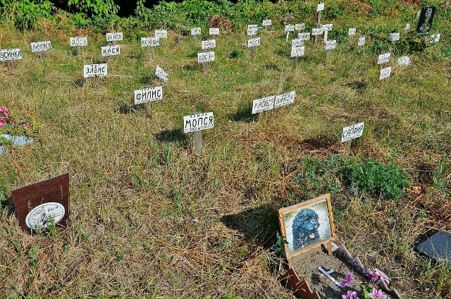 В Уфе появится первое официальное кладбище для домашн?...