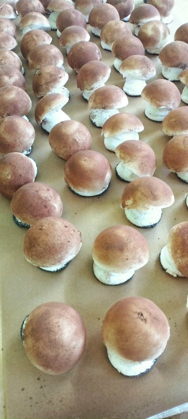 Давайте сделаем грибы из зефира?
Мастерская 