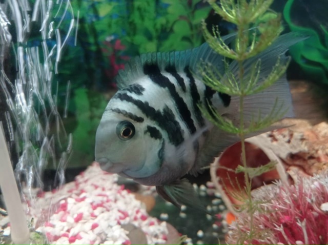 Доброго времени суток. Проживаю в ГБУ Чкаловский дом - ?...