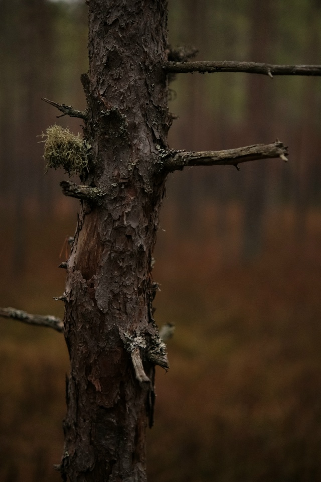 Доброй ночи, Никольск❤