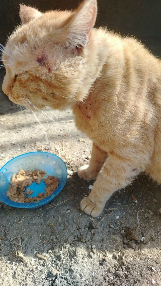 МОСКВА, ПИТЕР И ВСЯ РОССИЯ
???????
СТАТУС СРОЧН...