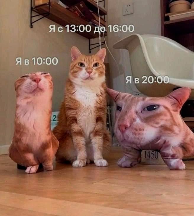 Ночная подборочка
Выходные, не спим