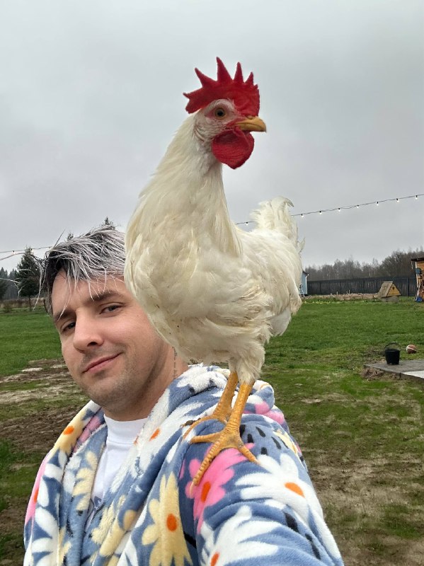 Весной подкину аистам в гнездо 😂
Пусть воспитывают и учат летать 😂