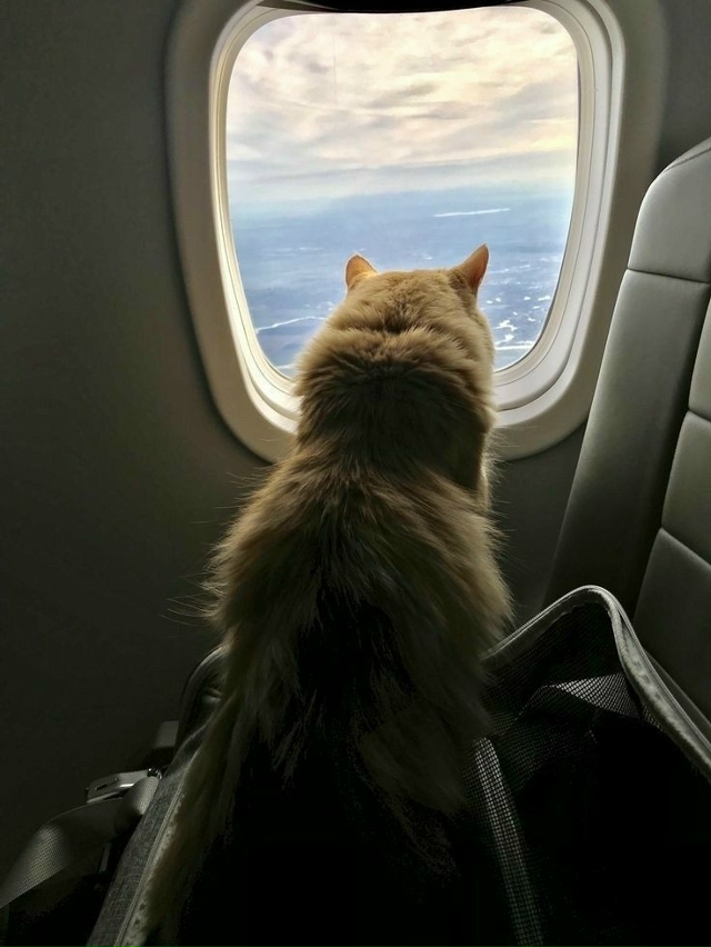 Когда жизнь удалась 😄