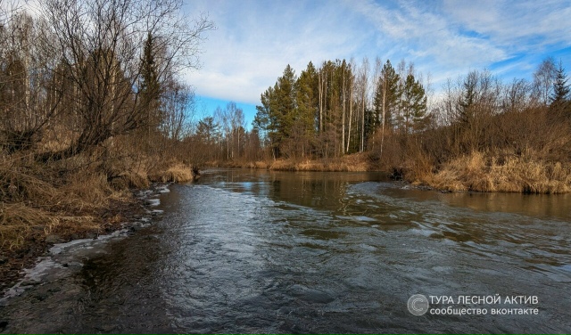 Ноябрь у реки Тура во всей эфемерной красоте.
Окрестно?...