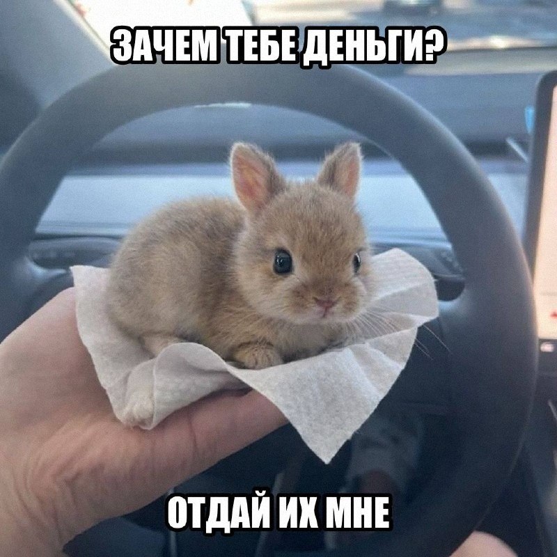Утренняя подборочка