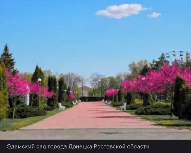 ОДА ДОНЕЦКУ
С праздником, милый город,
С праздником, до...