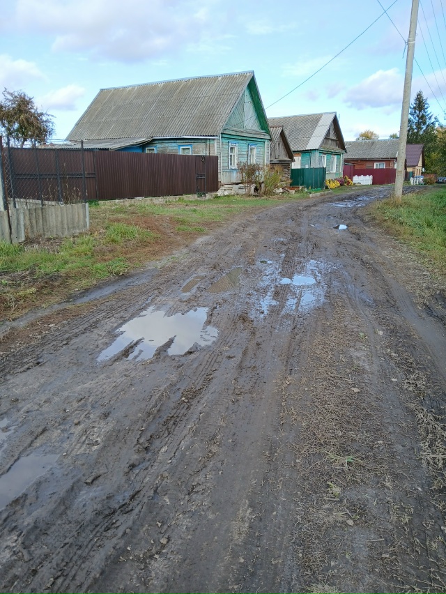 Дороги в деревне Красное Трубчевского Района Брянской...