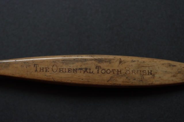 👉Археологи нашли возле СмолГУ две зубные щётки начал?...