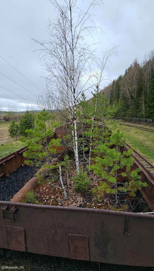Кладбище паровозов 🚂☠
📸Владимир Каровец