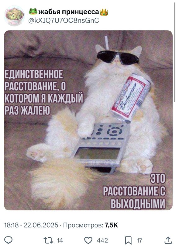 Ну мы 💅