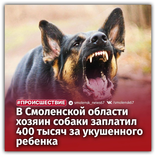 👉Как рассказали в региональном УФССП, судебные прист?...