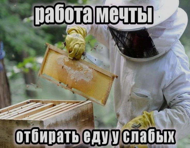 Ночная подборочка
Спать, режим