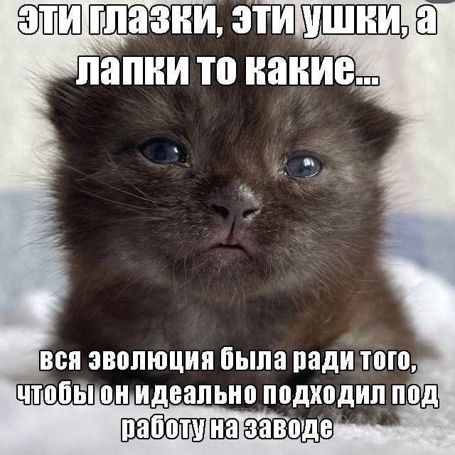 Утренняя подборочка