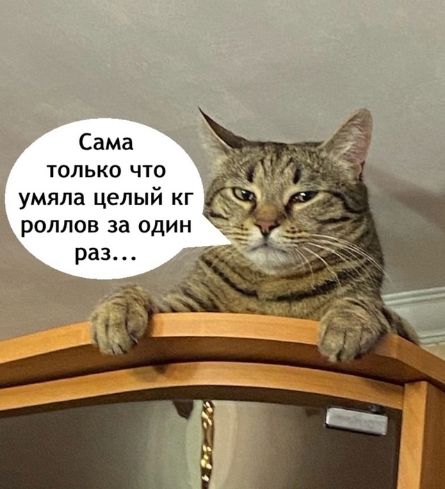 Нет в этом мире справедливости