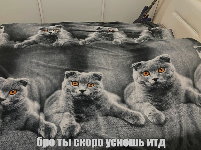 Ночная подборочка
Выходные, не спим