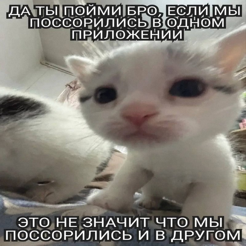 Утренняя подборочка