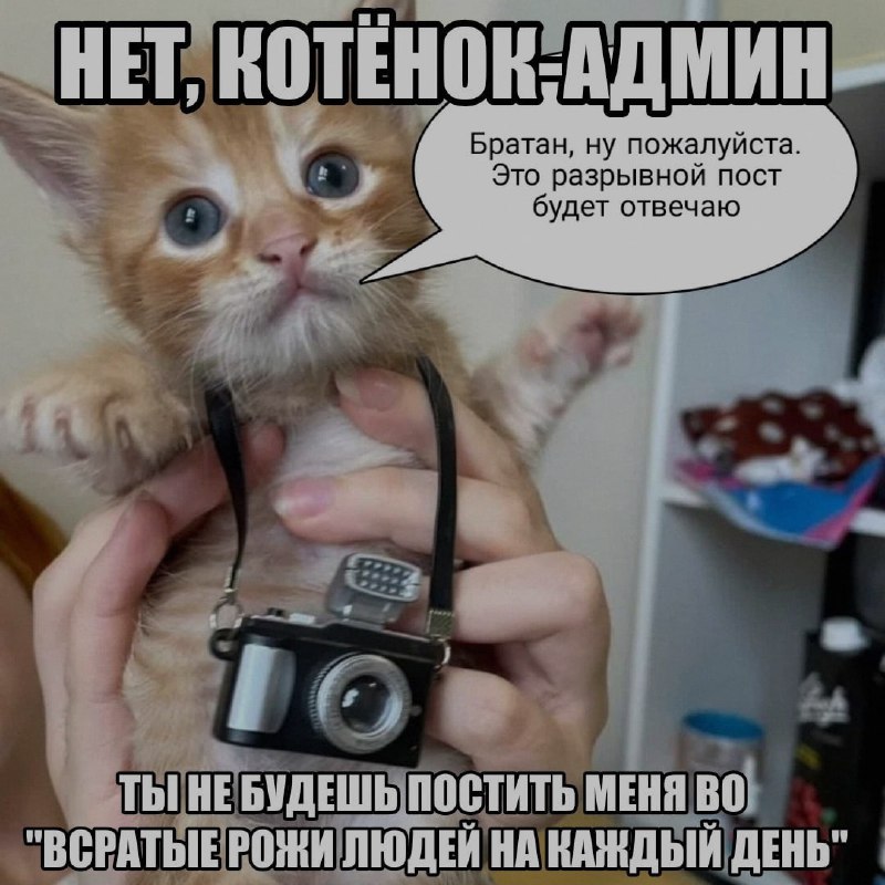Ночная подборочка
Спать, режим