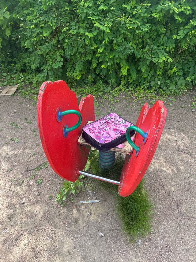На детской площадке у Нормана