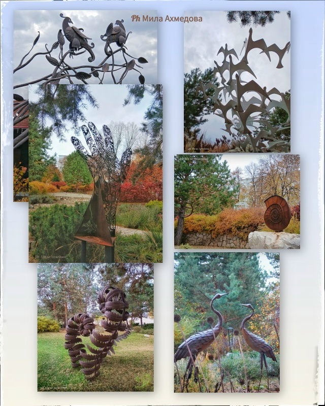 Впереди выходные, погода без дождя.🌤 Прекрасная возмо...