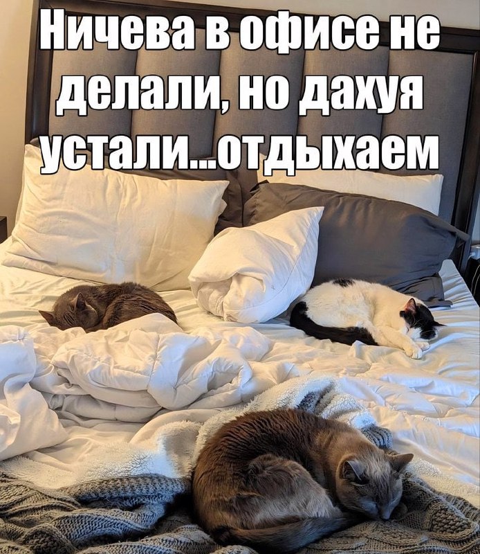 Утренняя подборочка