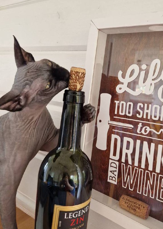 Оо пьятничька