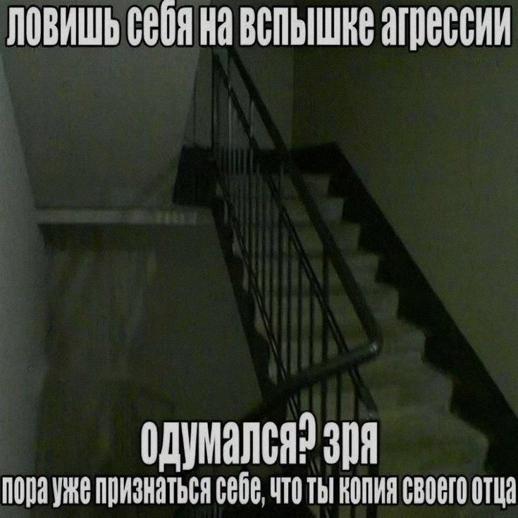 Ночная подборочка
Выходные, не спим