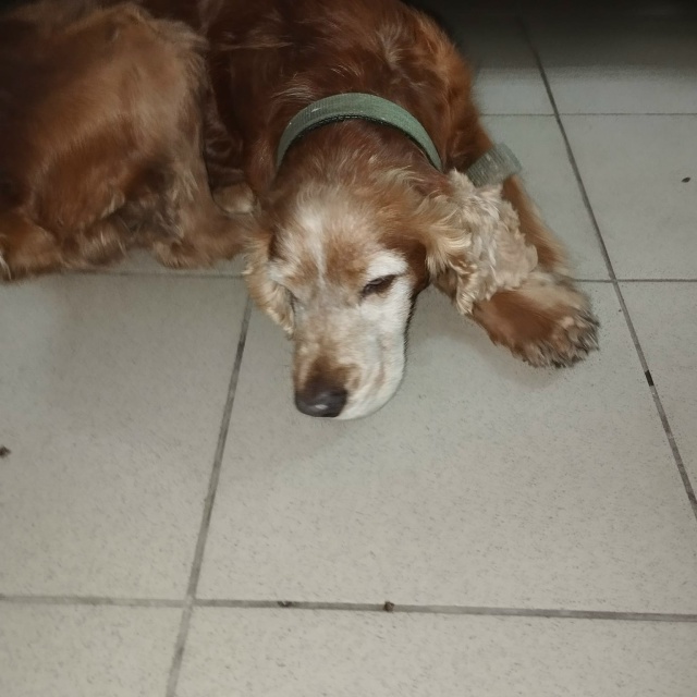 Помогите, пожалуйста, распространить🙏 (помогаю инфор?...