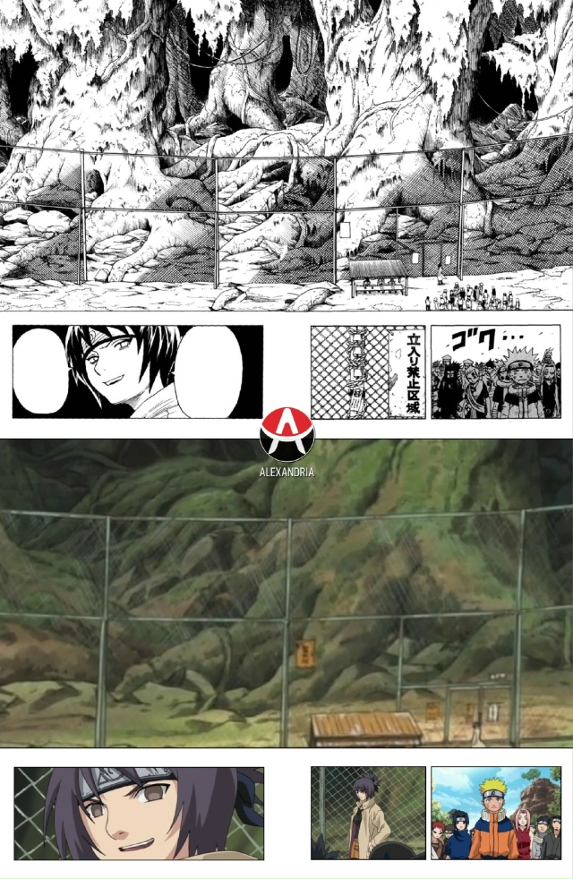 🌀Сравниваем «Наруто»: манга х 22/25 серии [арка «Экзамен...