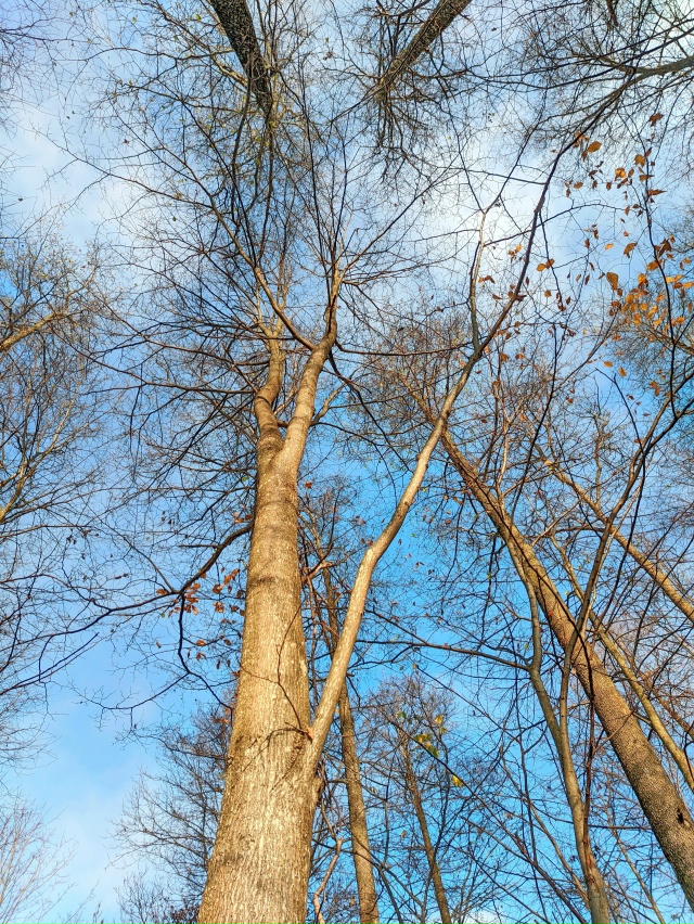 Доброй ночи, Никольск❤