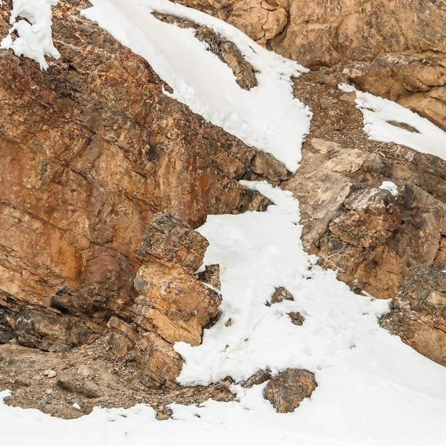 Сможете найти снежных барсов на этих фотографиях?
Ран?...