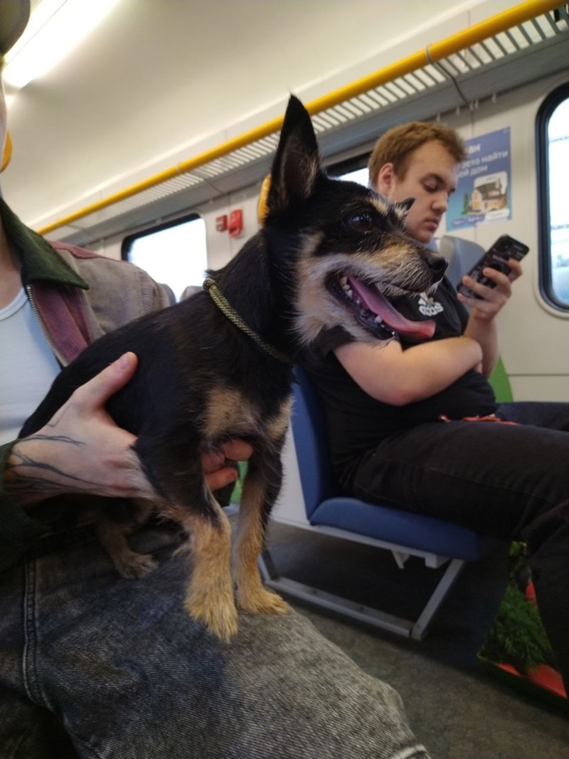 Электричка 6743
Крутое - лесной городок
В 2 часа дня на ос...