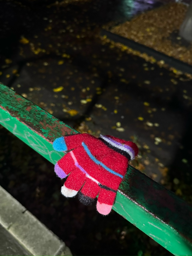 Перчатка возле мясного магазина,на Ивановской