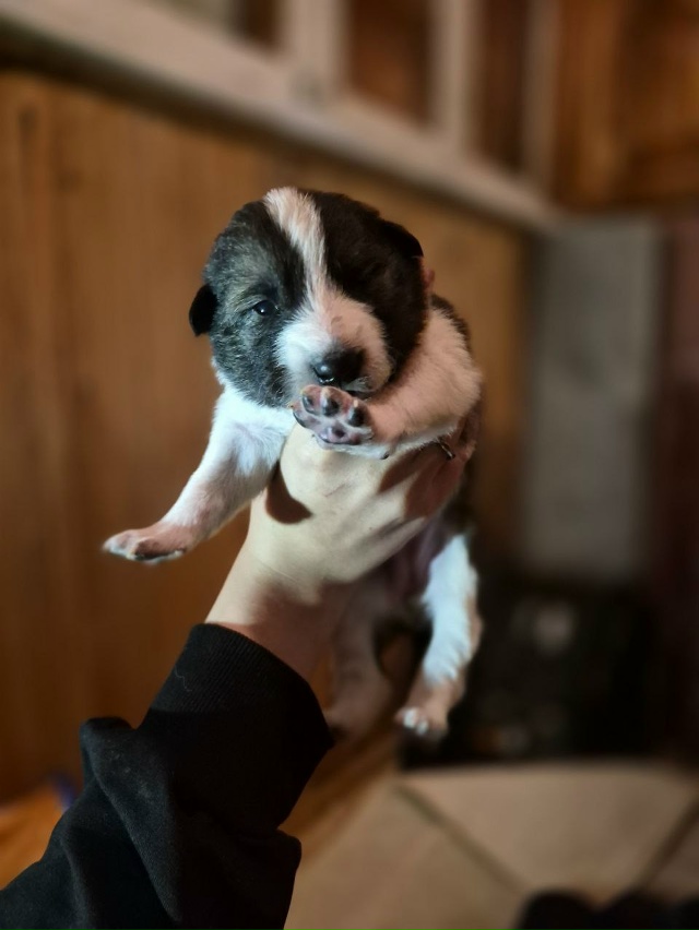 Ребята. Всем большой привет. Думаю, что многие видели п?...