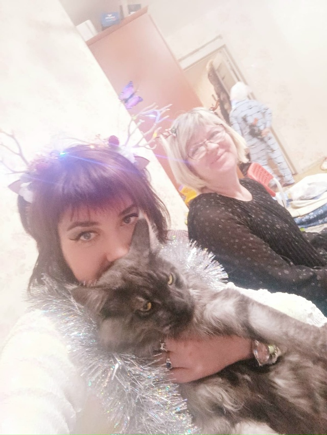 Пропал кот, мейн кун, окрас черно-белый дым. Сообщите по...