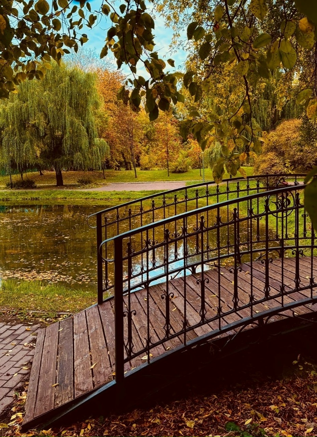 Осень в Екатерининском парке 🍁
Фото: Алексей Хусаин?...