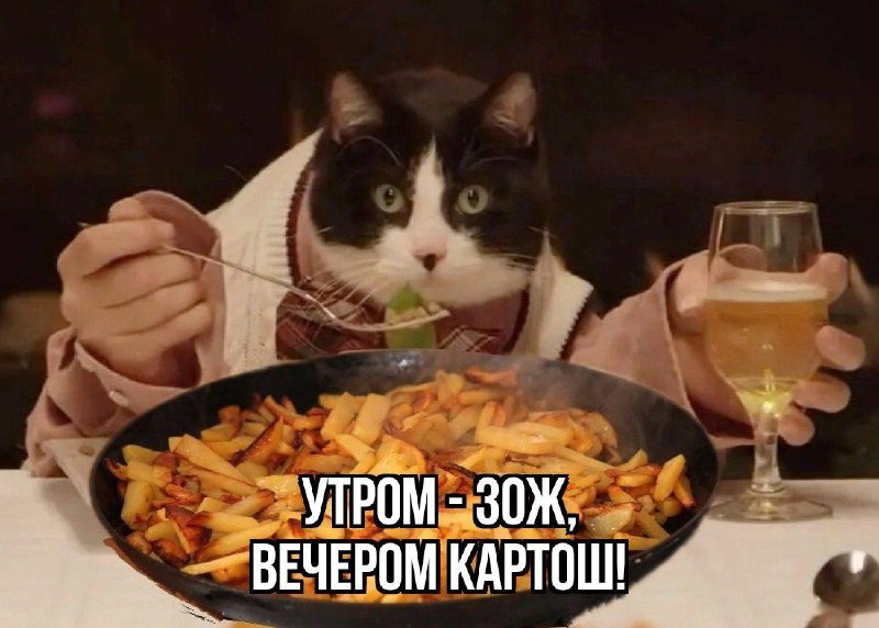 Сегодня отмечают Международный день против диеты.
Видимо праздник придумали жирные, ведь его смысл