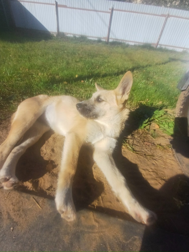 Необычно ласковая и добрая девочка , которая нуждается...