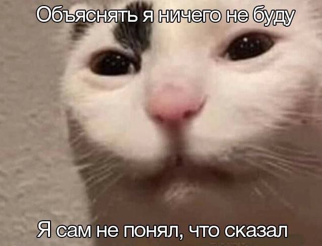 Утренняя подборочка