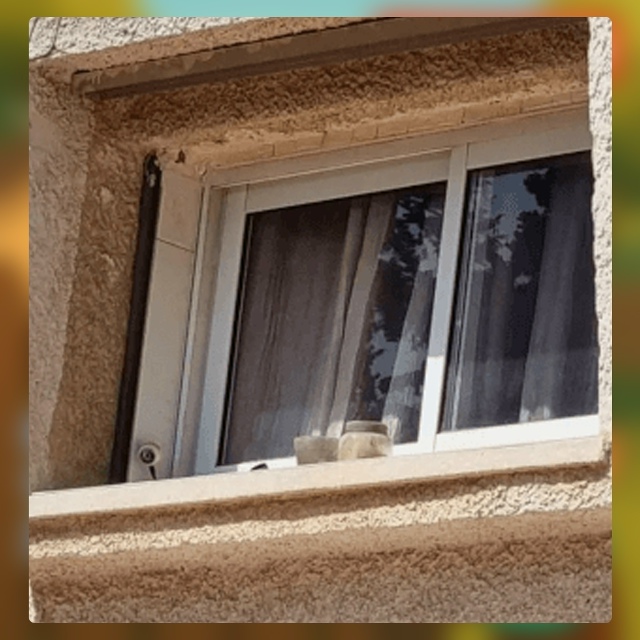 Безумные приколы
Добрые соседи — это сокровище. Но ино...