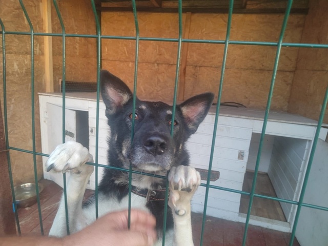 Санкт-Петербург ❗ ❗ ❗
Привет,меня зовут Альма.️❤️❤?...