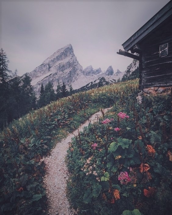 Кому-то лучший отдых на море, а кому-то - домик в горах.