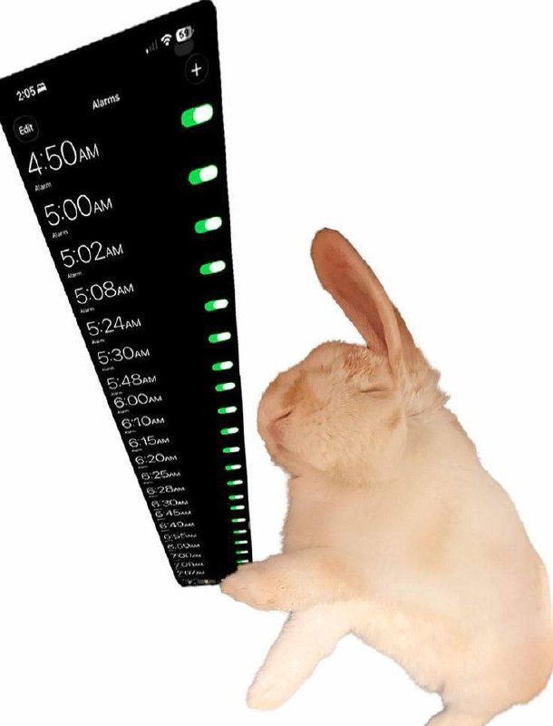 Утренняя подборочка