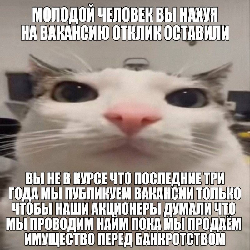 Ночная подборочка
Спать, режим