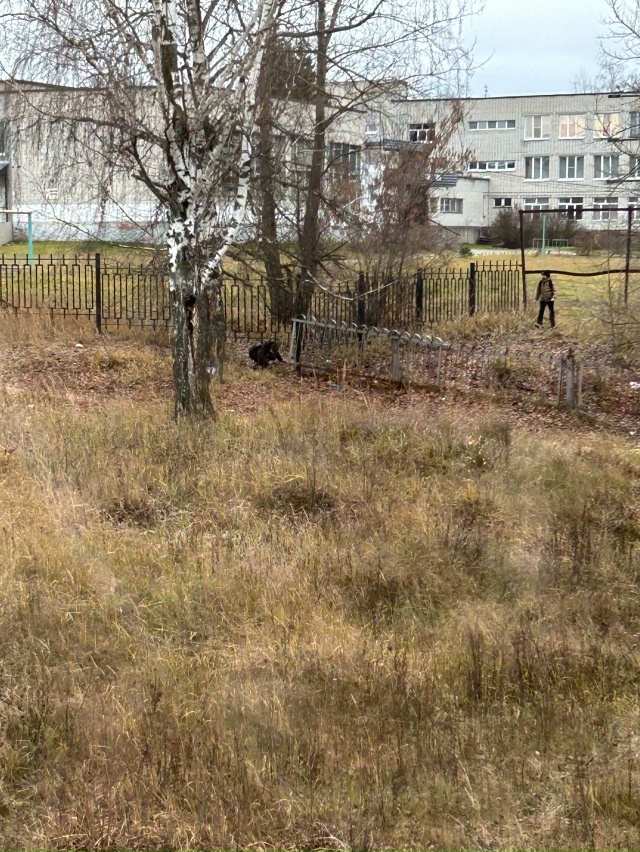 Вопрос к администрации школы № 1: почему не сделаете ещ...