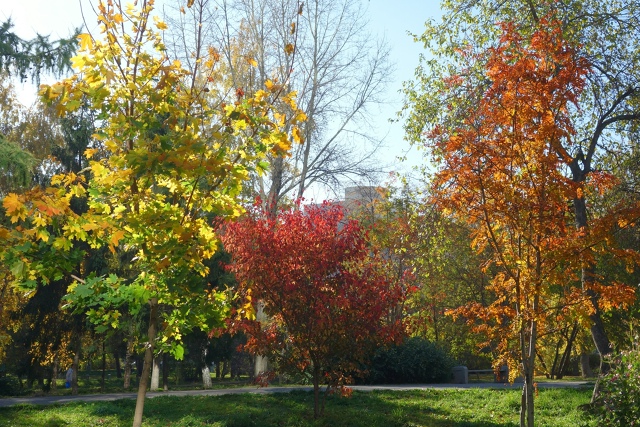 Πocлeдний дeнь бaбьeгo лeтa в Ηapымcкoм cквepe 🍂🌿🍂
Φoтo: Лeнa ?...