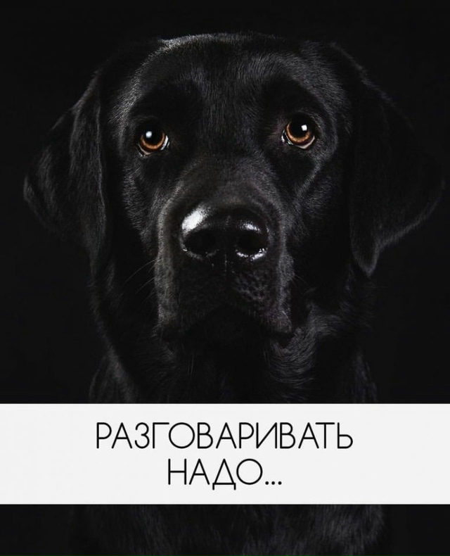 Разговаривать надо…