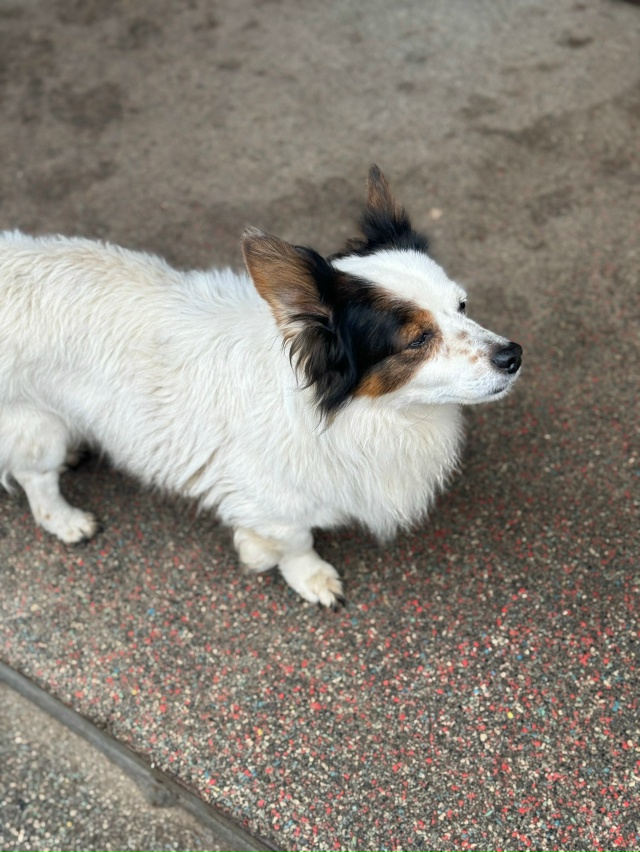 Анонимно.
Ленина 56. Уже третий день возле подъезда сид?...