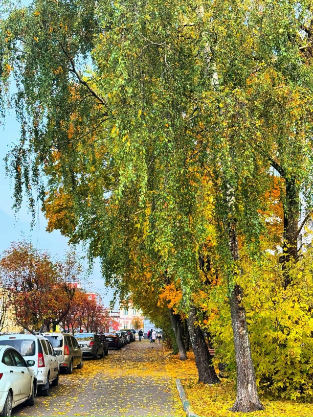 Какая красивая осень 🍂