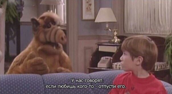 Такая жизненная мудрость😂